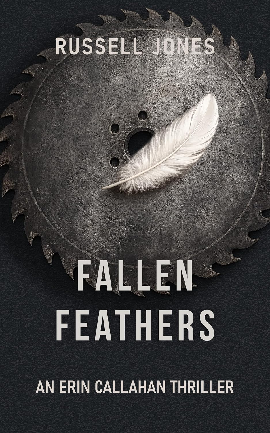 Fallen Feathers book cover