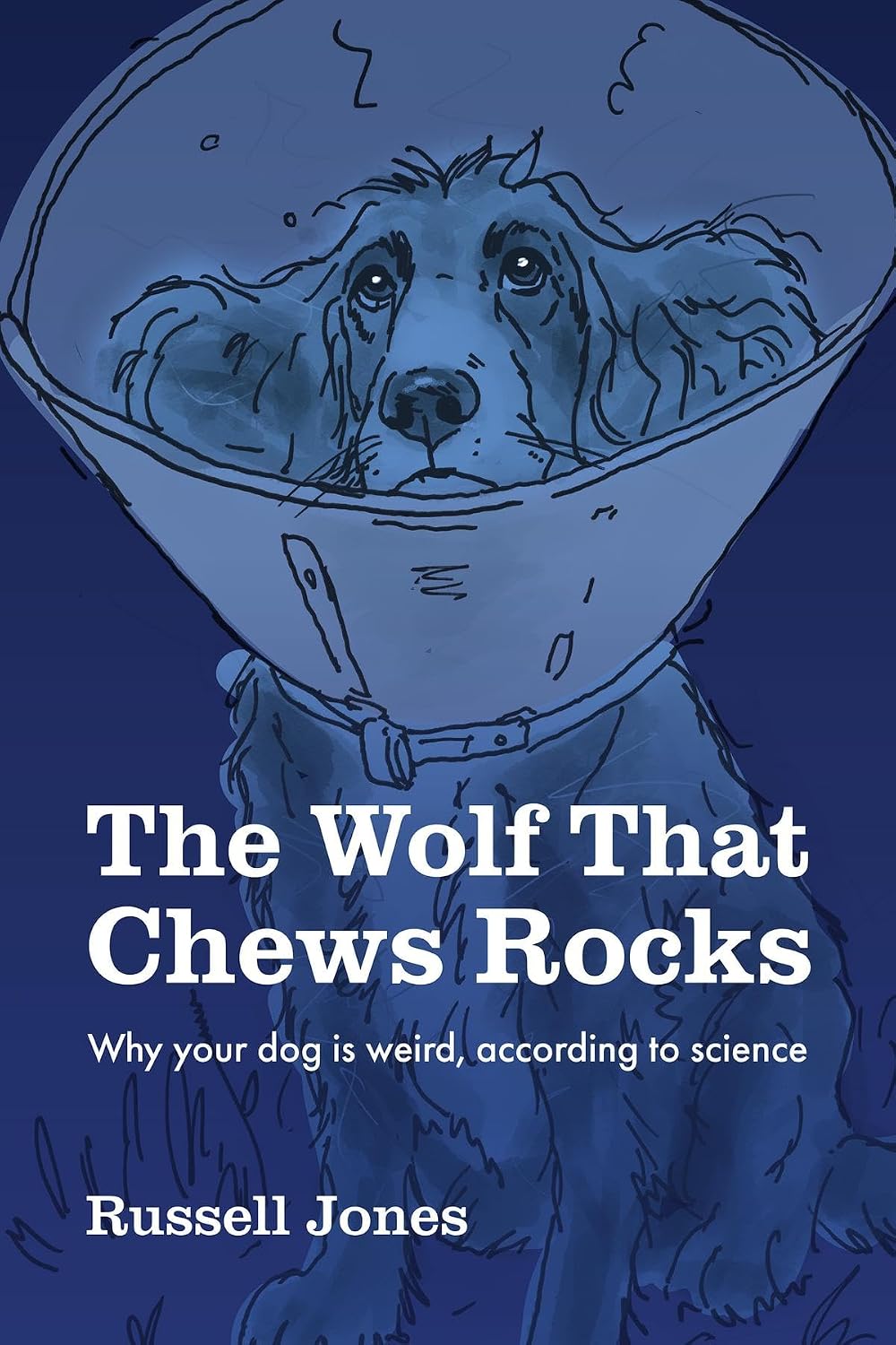The Wolf That Chews Rocks book cover
