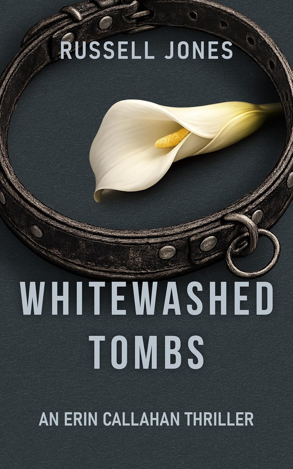 Whitewashed Tombs book cover